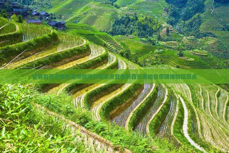 宜春到西安秦始皇帝陵博物院景点