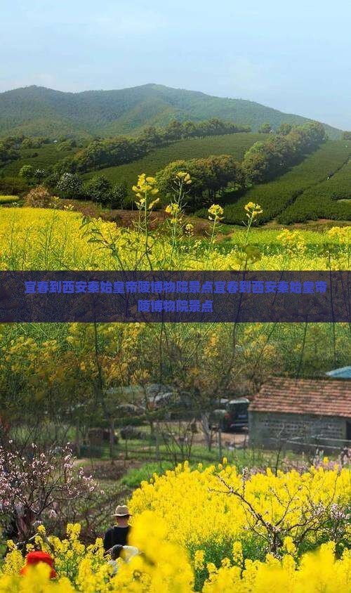 宜春到西安秦始皇帝陵博物院景点