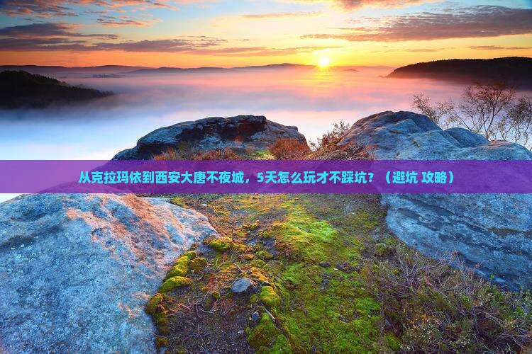 克拉玛依到西安大唐不夜城自由行