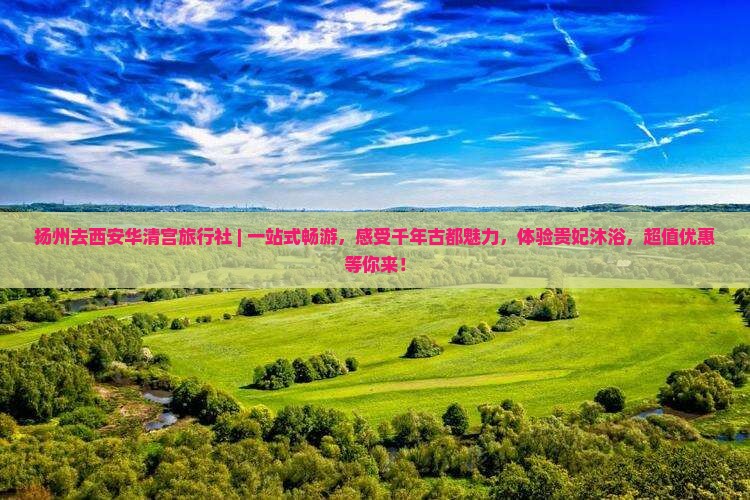 扬州去西安华清宫旅行社