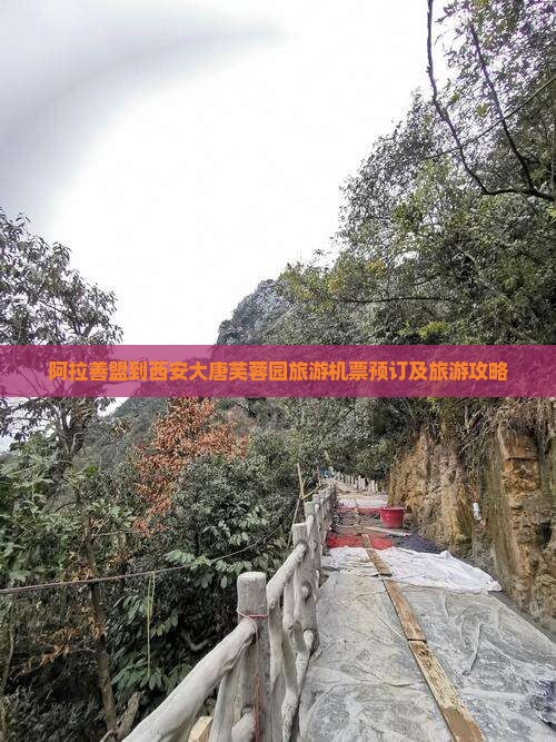 阿拉善盟到西安大唐芙蓉园旅游