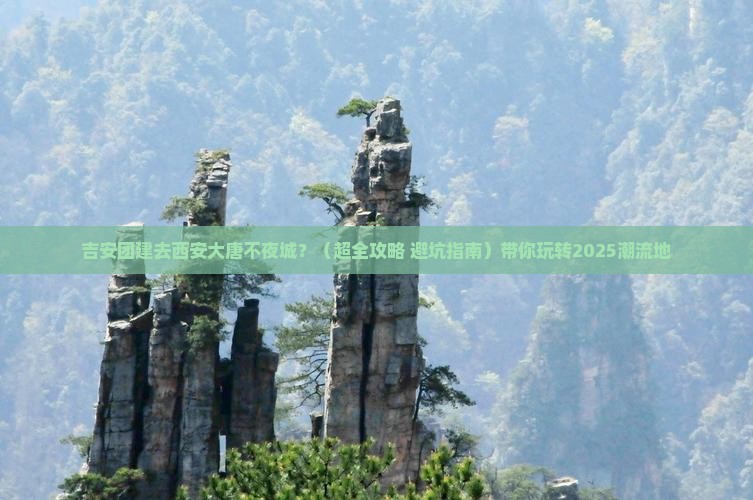 吉安到西安大唐不夜城团体旅游