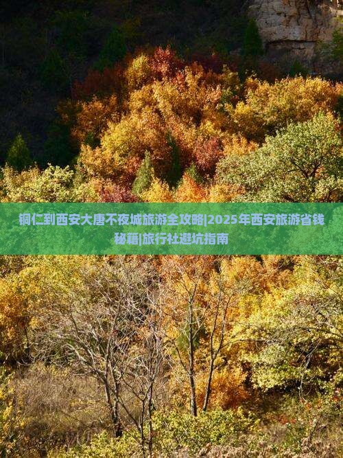 铜仁去西安大唐不夜城旅行社 铜仁去西安大唐不夜城旅行社