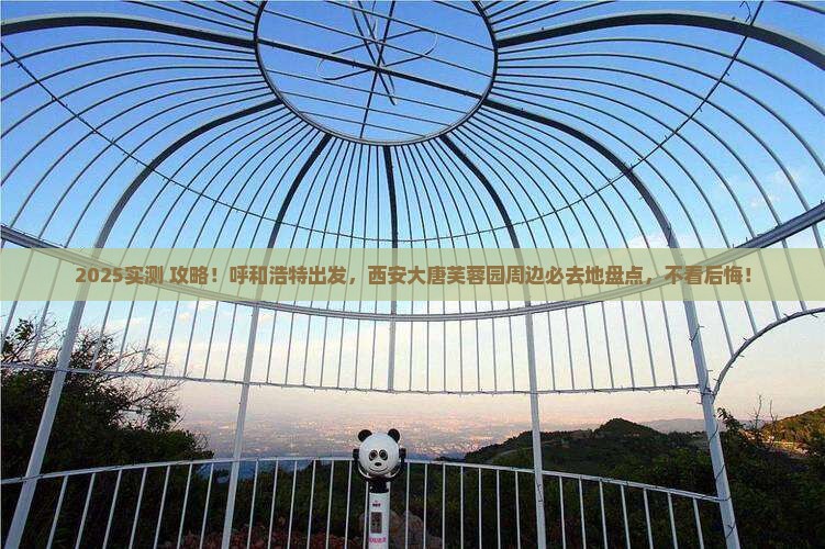 呼和浩特到西安大唐芙蓉园必去地