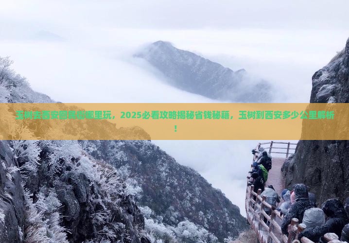 玉树去西安回民街哪里玩