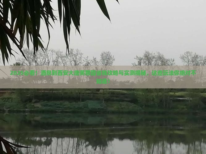 酒泉到西安大唐芙蓉园哪里玩