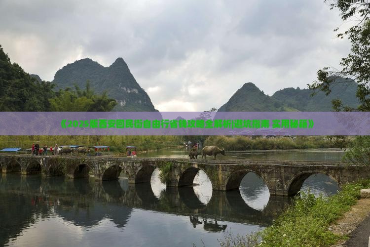 玉树去西安回民街自由团