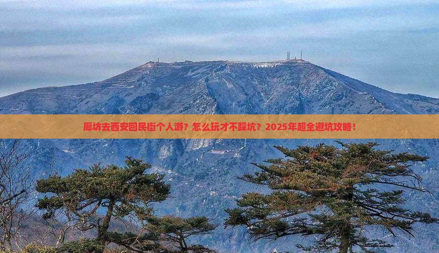 廊坊去西安回民街个人游