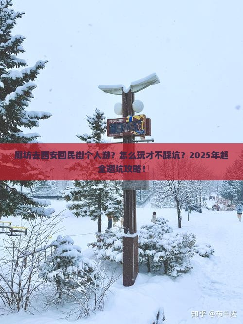 廊坊去西安回民街个人游