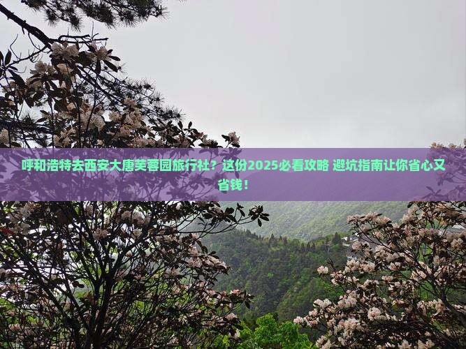 呼和浩特去西安大唐芙蓉园旅行社