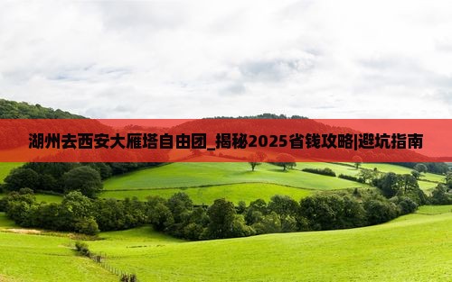 湖州去西安大雁塔自由团