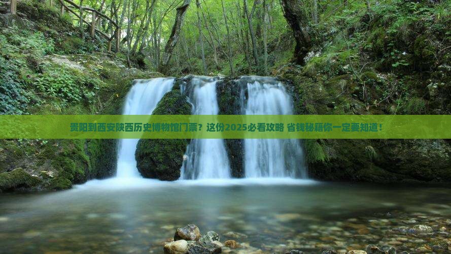 贵阳到西安陕西历史博物馆门票