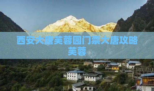 苏州到西安大唐芙蓉园门票