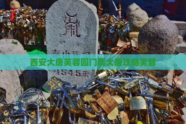 苏州到西安大唐芙蓉园门票