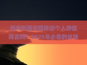 焦作到西安回民街个人游