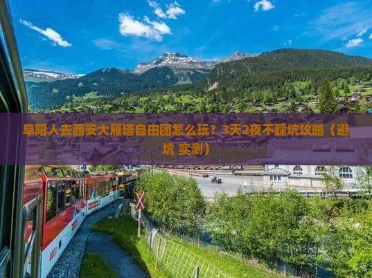 阜阳去西安大雁塔自由团