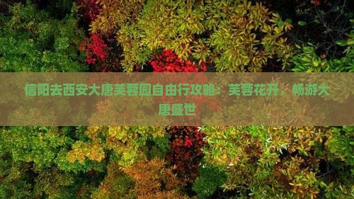 信阳去西安大唐芙蓉园自由行