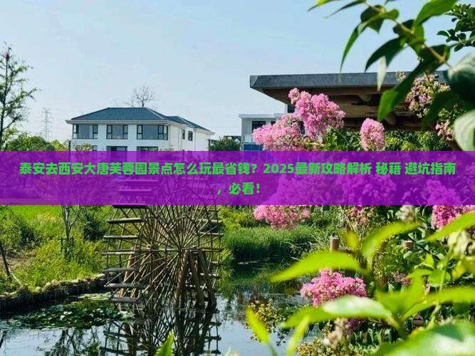 泰安去西安大唐芙蓉园景点