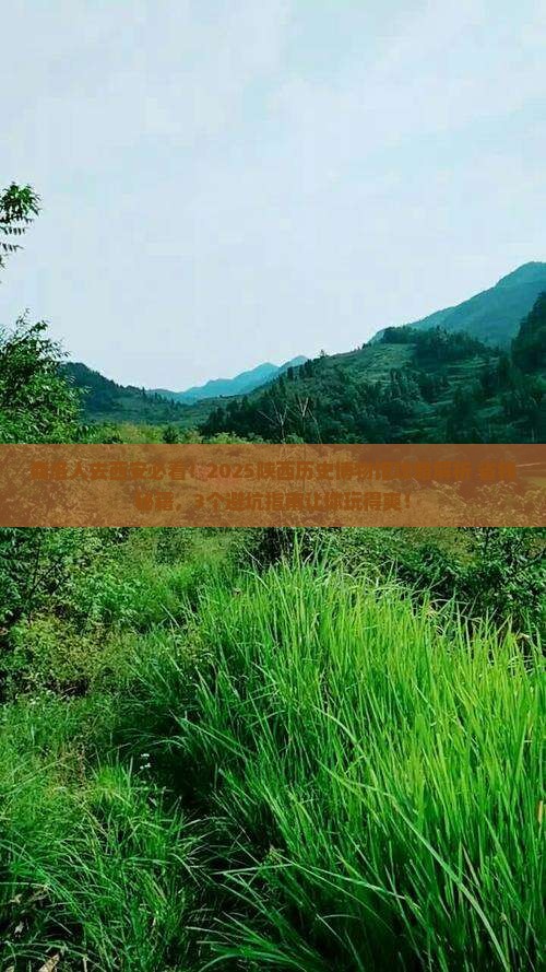 商洛去西安陕西历史博物馆景点