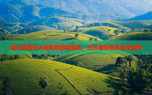 银川到西安大唐芙蓉园哪里玩