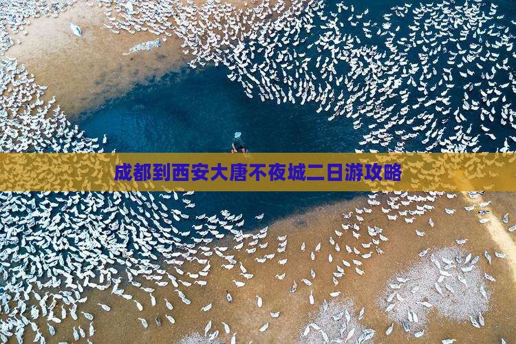 成都到西安大唐不夜城二日游