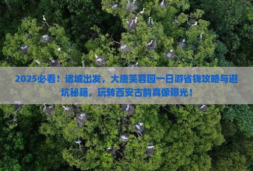 诸城去西安大唐芙蓉园一日游