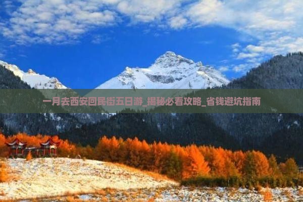 一月去西安回民街五日游