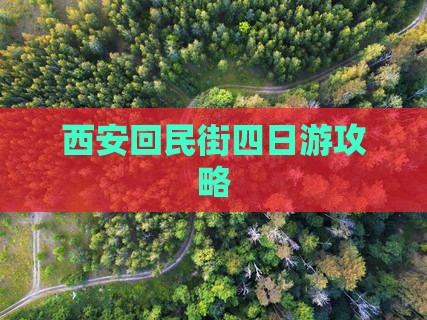 冬天去西安回民街四日游