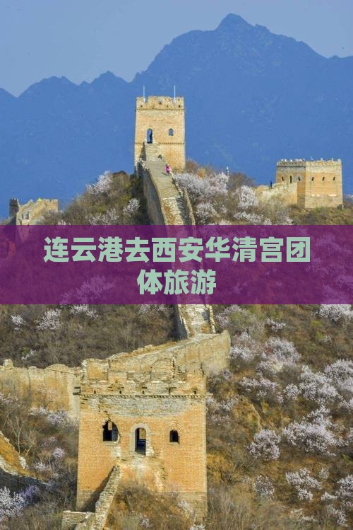 连云港去西安华清宫团体旅游