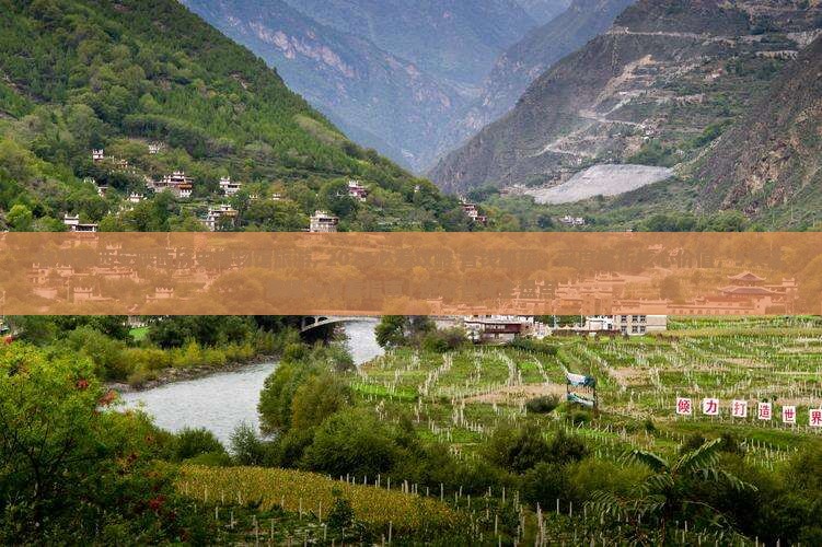 钦州到西安陕西历史博物馆旅游