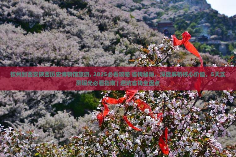 钦州到西安陕西历史博物馆旅游