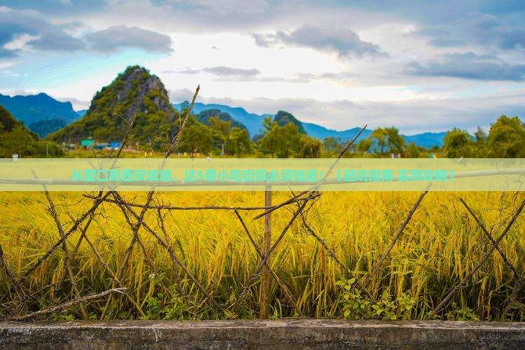 营口到西安城墙旅游小吃