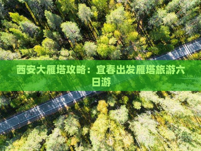 宜春去西安大雁塔六日游