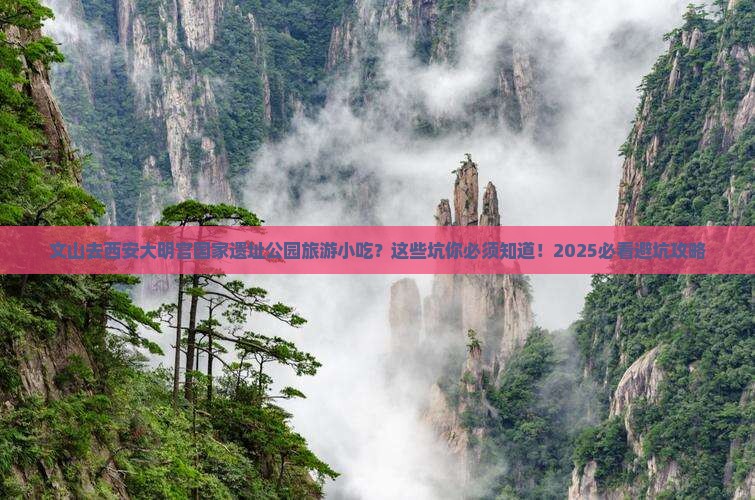 文山去西安大明宫国家遗址公园旅游小吃