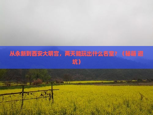 永新到西安大明宫国家遗址公园二日游