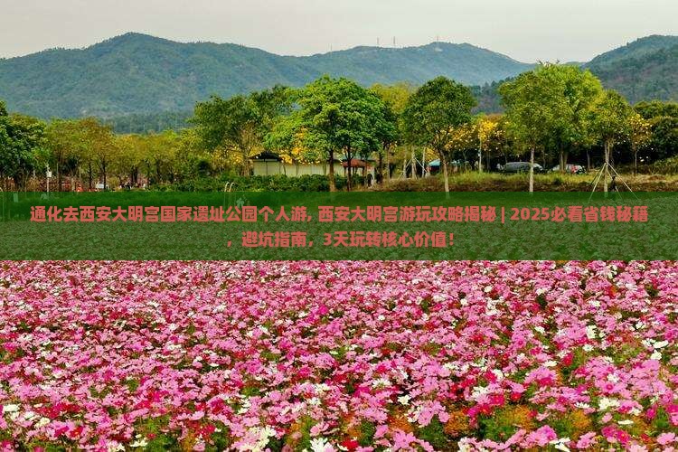 通化去西安大明宫国家遗址公园个人游
