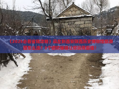 崇左到西安陕西历史博物馆大型旅游团