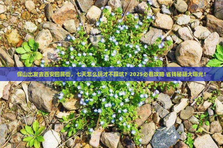 保山去西安回民街七日游