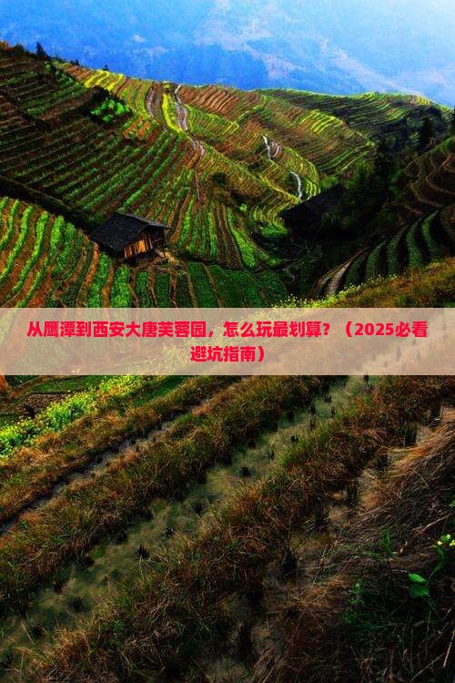 鹰潭到西安大唐芙蓉园哪里玩
