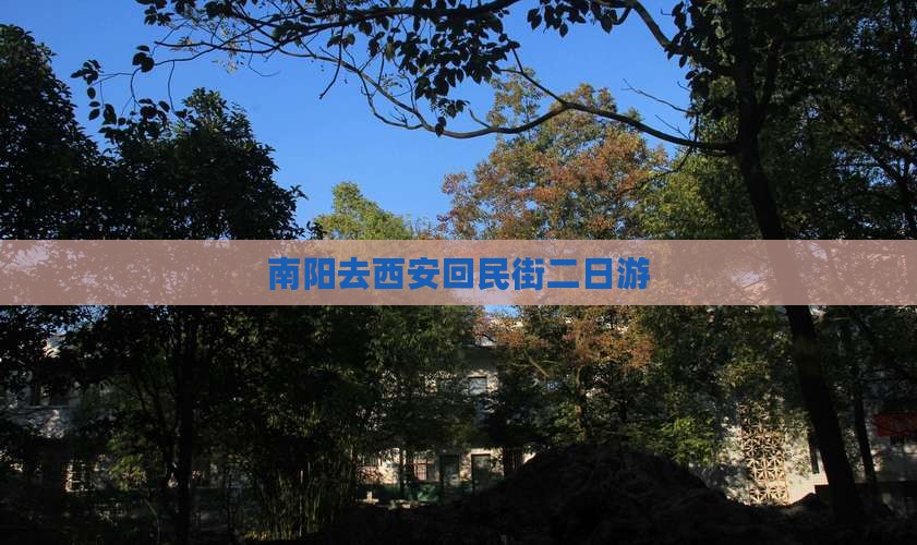 南阳去西安回民街二日游