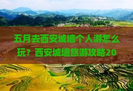 五月到西安城墙个人游