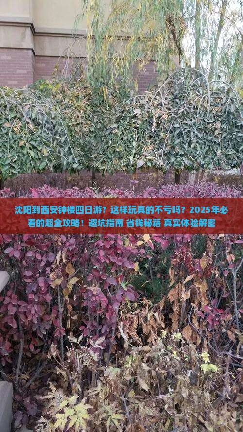 沈阳到西安钟楼四日游