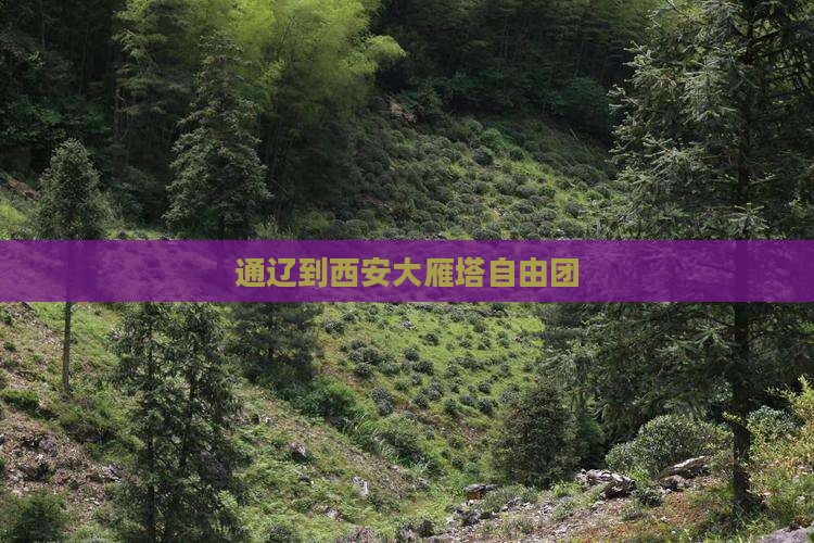 通辽到西安大雁塔自由团
