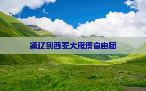 通辽到西安大雁塔自由团