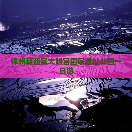 锦州到西安大明宫国家遗址公园一日游
