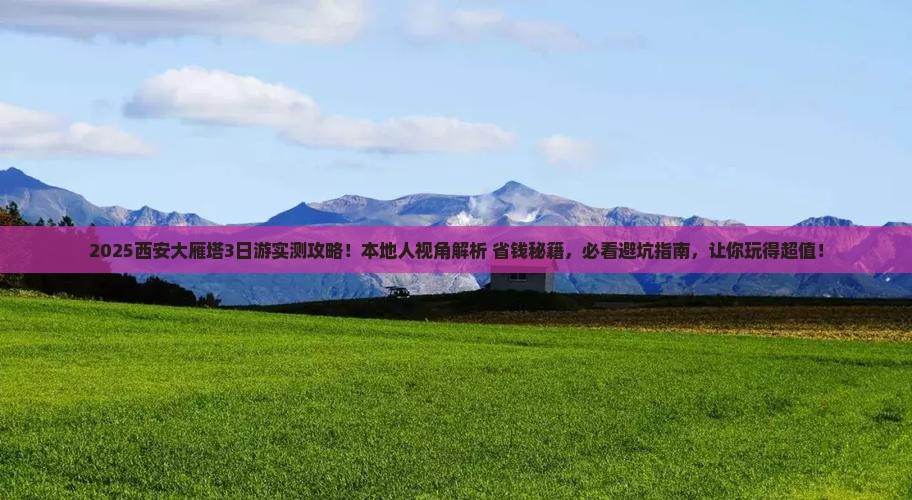 聊城去西安大雁塔三日游