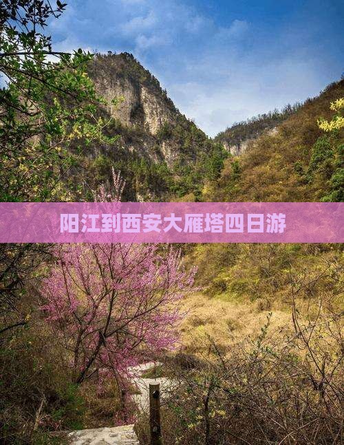 阳江到西安大雁塔四日游