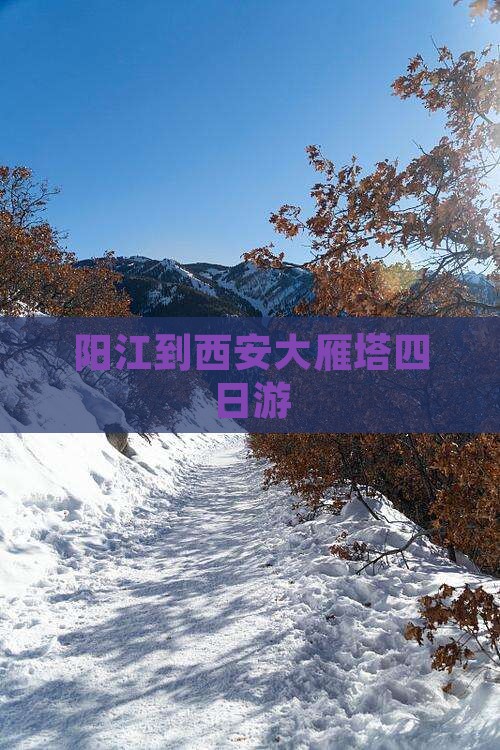 阳江到西安大雁塔四日游