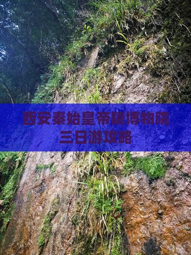 楚雄去西安秦始皇帝陵博物院三日游