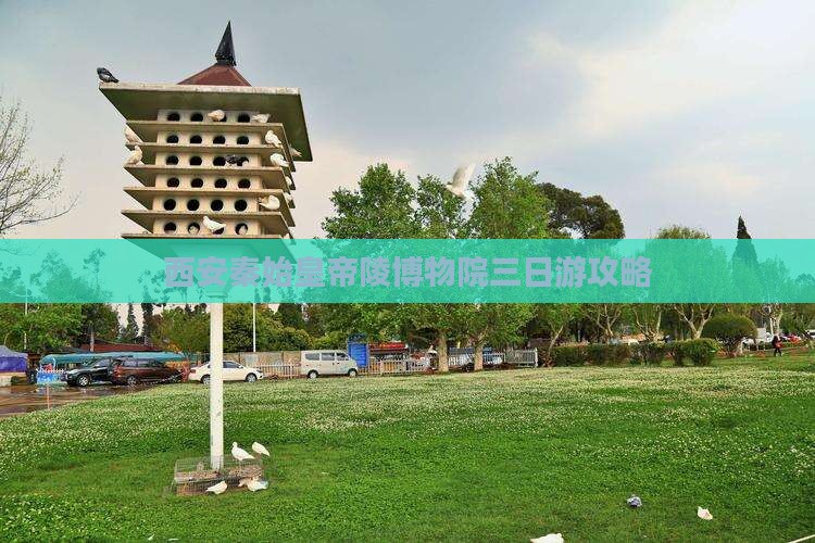 楚雄去西安秦始皇帝陵博物院三日游